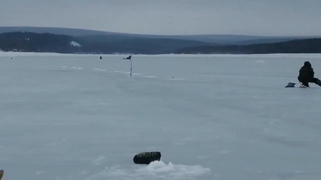 На мото собаке проехали по косьве 11 апреля 2020 смотреть онлайн