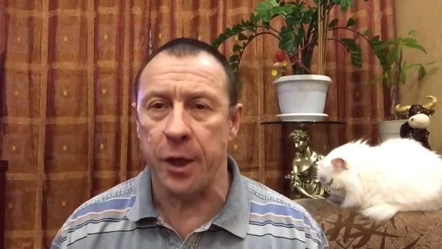 Анекдоты от Егоровича ! Анекдот случай в магазине . смотреть онлайн