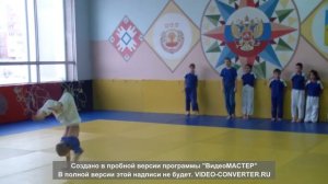 Дзюдо  Новочебоксарск  Показательное акробатическое выступление HDV
