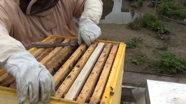 Метод Демари часть 2!Боремся с роением! Простой и очень эффективный метод против роения! смотреть онлайн