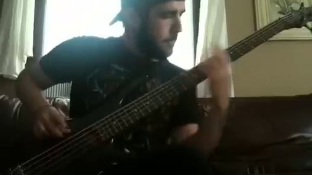 As Tyrants Fall - Xenobiotic (Bass Playthrough) смотреть онлайн