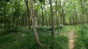 ОСТРОВ КО-КУД ТАЙЛАНД 2022