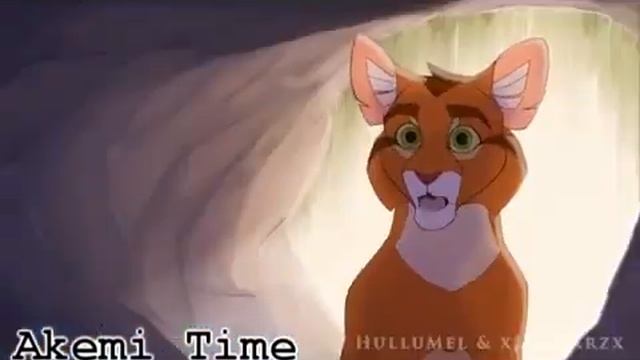 Первое видео коты воители лучшие дни русская очвучка смотреть онлайн