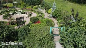 Что посмотреть в Новосибирске летом - ландшафтный парк "Сияние"