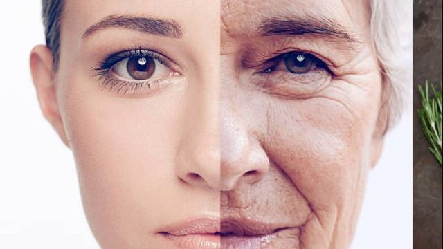 Facts about Protein in tamil | Spoon- Fed смотреть онлайн