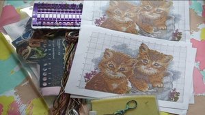 Проект: вышить подушку под названием " Котята". 1 часть.