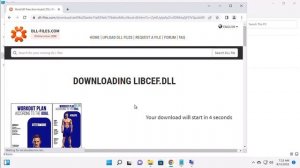 {Solved} How To Fix Libcef.dll Is Missing or Not Found In Windows 11/10 [Tutorial]