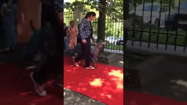 Дефиле на Ленинском 8 смотреть онлайн