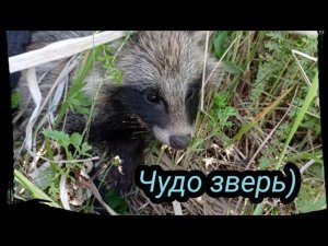 Работа, Енот, Опять копаем машину. Козы, Граната))  Серия 7 сезон 2021.