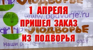1 апреля. Какой заказ пришел из Подворья