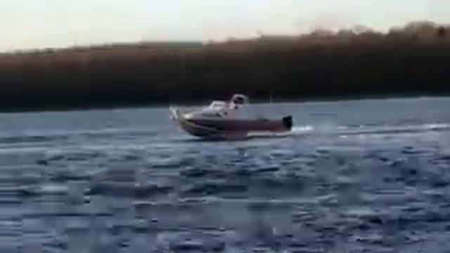 Wellboat-63P