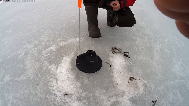 Ловля щуки на жерлицы 2021 смотреть онлайн