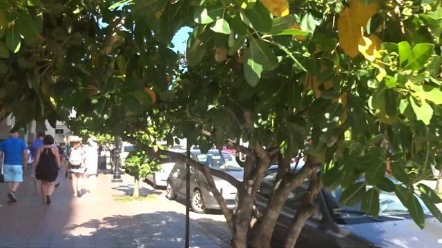 Пуэрто Рико--Любовь Моя.Апрель 2017г. смотреть онлайн