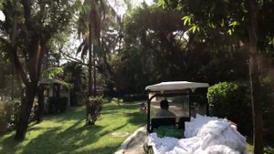 Palm Beach ,Sanya -территория отеля