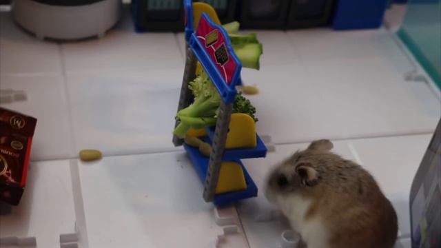 OPENING A MINI BRANDS STORE TO A SECRET SHOPPER!! Did They Get A Super Rare Mini Brands? смотреть онлайн