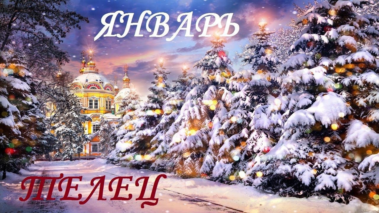 ТЕЛЕЦ ЯНВАРЬ ГОРОСКОП ТАРО