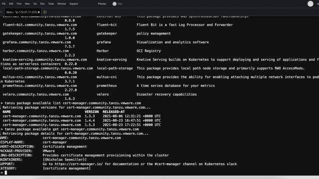 Deploying Tanzu Packages on an EKS Cluster смотреть онлайн