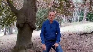 Алишер Васлиев. Alisher Vasliev. 4 стороны света.