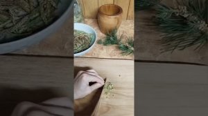 Живое варенье из сосновых шишек и зеленая витаминка из сосновых побегов. Варенье без варки