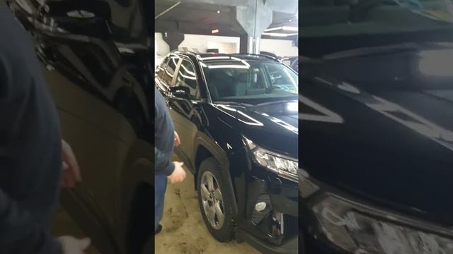 Toyota Rav4. Защитили капот, фары птф, зону вокруг лобового .... смотреть онлайн