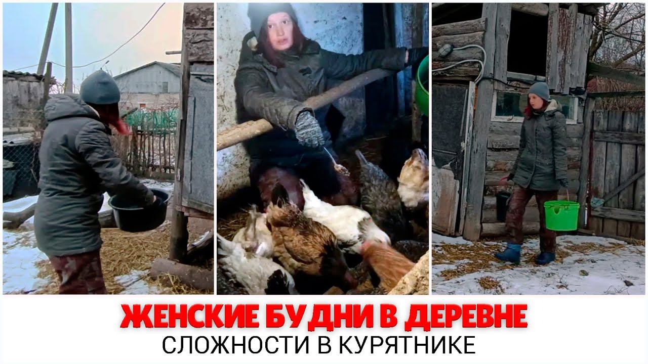  Женские будни в  деревне:  Сложности в курятнике  Пытаюсь приготовить картошку