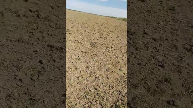 Посів квасолі , технологія гербіциди смотреть онлайн