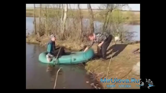 клевый клев
