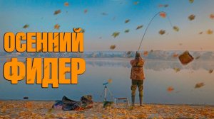 Поклевки есть! Осенний фидер на туманной реке. Рыбалка на фидер.