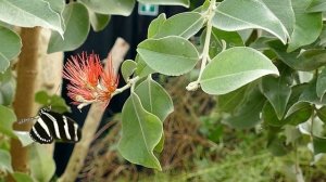 Ариша встречает родственников. Часть 2.