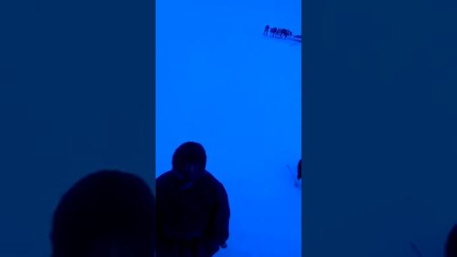 Местные жители ненецкий автаномный округ/северные люди/север смотреть онлайн