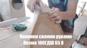 Колонки своими руками на динамиках Ноэма 100гдш.