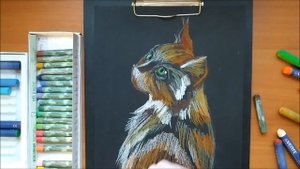 Рисуем кошку пастелью! Обзор бумаги для пастели. Draw a cat with pastels! Review of pastel paper.