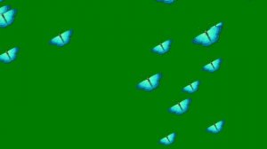 ФУТАЖ  -  БАБОЧКИ ГОЛУБЫЕ - ХРОМАКЕЙ НА ЗЕЛЕНОМ ФОНЕ