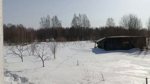 Деревня весной. 17 марта 2024 год