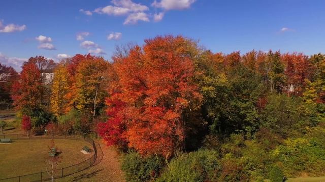 Golden Autumn Dreams: 4k Background Video -10 Hours of Tranquil October Scenery смотреть онлайн