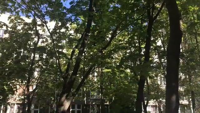 Оказание первой помощи при падении с высоты смотреть онлайн