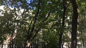 Оказание первой помощи при падении с высоты