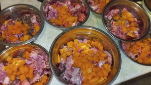 Кормление собак натуралкой. (Архив)