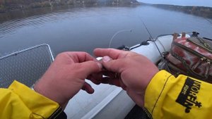 Судак и щука на Белгородском водохранилище