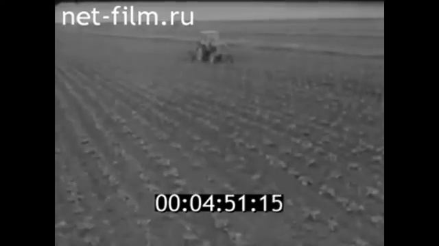 1963г. Олонец совхоз Олонецкий Карелия