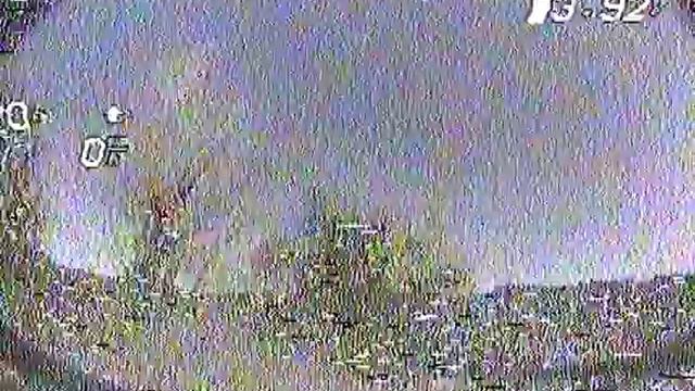 Darwin 129 7in смотреть онлайн