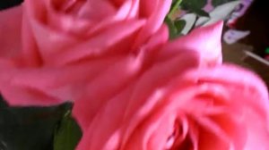 Красивый букет цветов