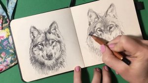 Рисую волка карандашом с комментариями?❤️ /Wolf pencil with comments