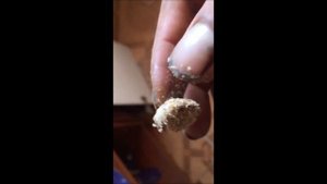 Ремонт старой кухонной двери