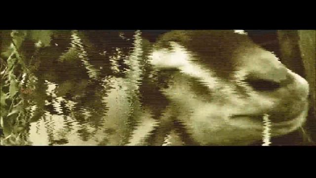 Ibanez RG8 - White Lost Ghost - Huff N' Puff (Vocal and Guitar Playthrough) смотреть онлайн