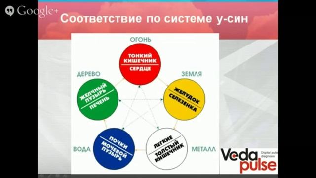 Основы рефлексотерапии. Первый шаг