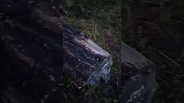 иду с папой на поиски самолëта смотреть онлайн