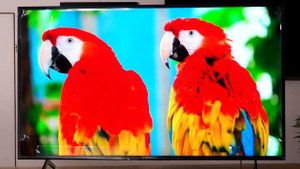 Обзор телевизора Sony KD-55X81J. Что может предложить "среднячок" от Sony 2021 года?