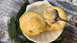 Сапота белая / Casimiroa Edulis "MCDILL" \ White Sapote