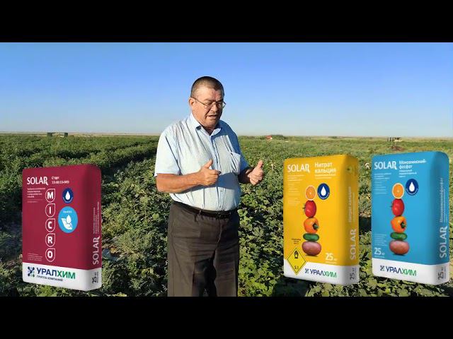 Как добиться максимального урожая огурцов на открытом грунте!
